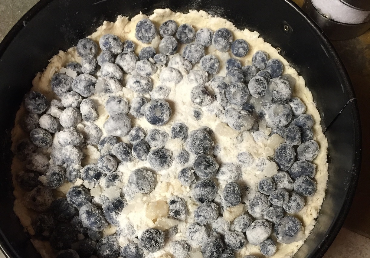 vegan blueberry tart